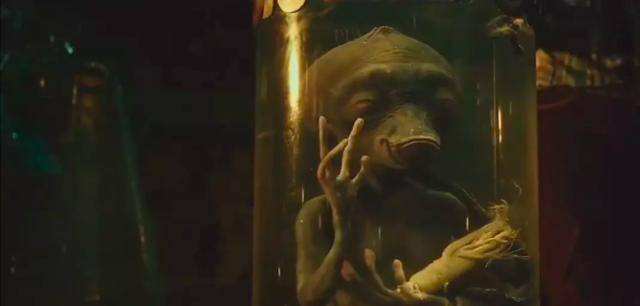 沈腾徐峥黄渤宁浩什么电影,电影免费观看13部喜剧片