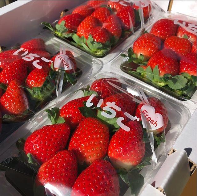 日本四季水果有哪几种,日本最好的五种水果