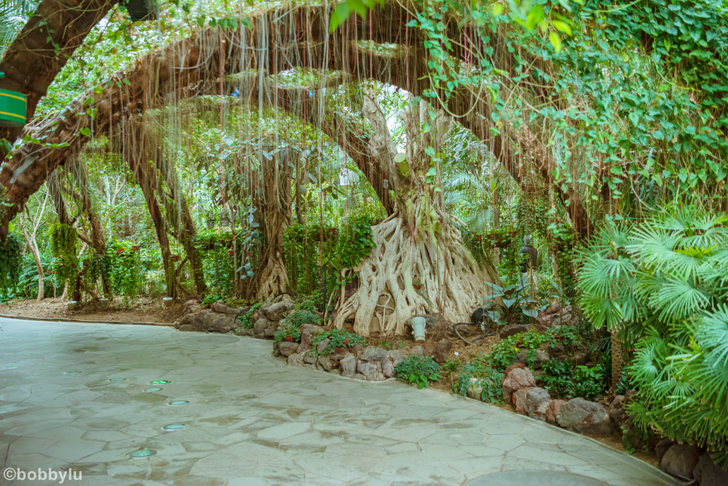 看城市变化蝶变融城,工业城市转型旅游城市