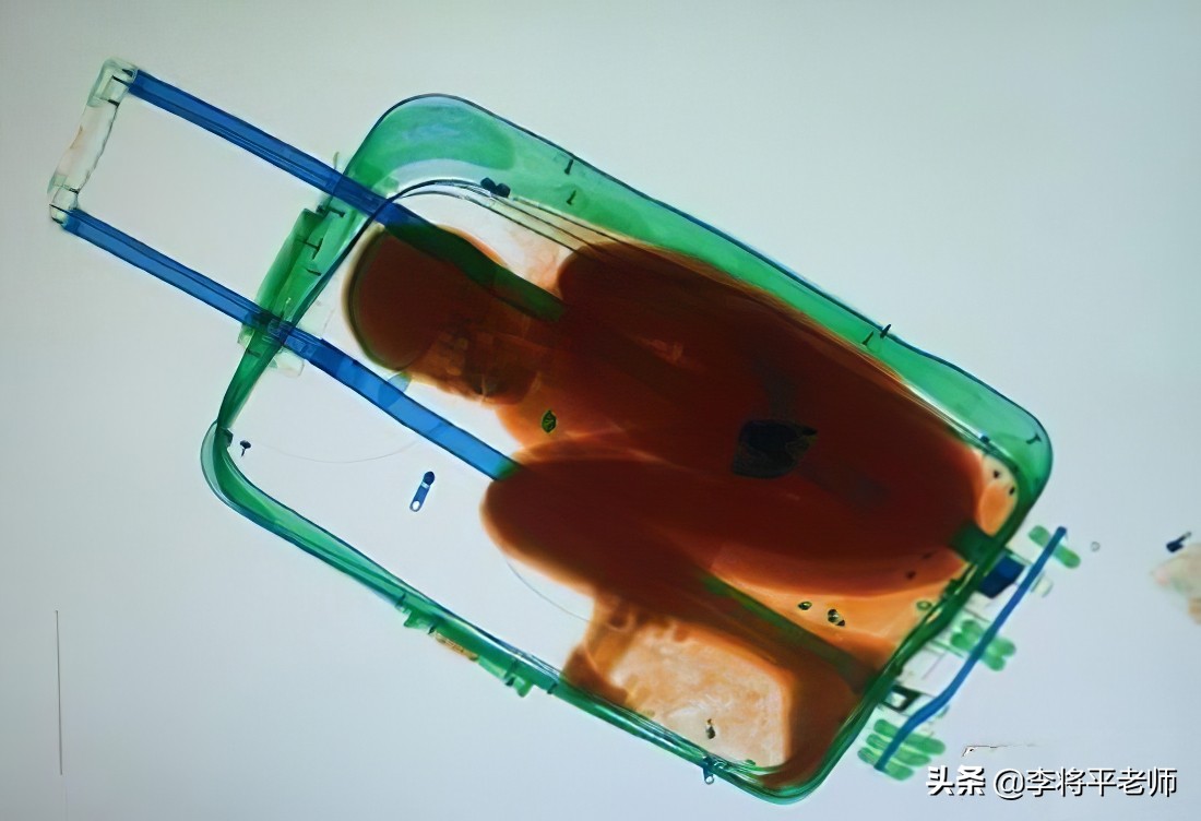 海关如何知道你带了活物入境？细数中国入侵生物中的英雄和耻辱们