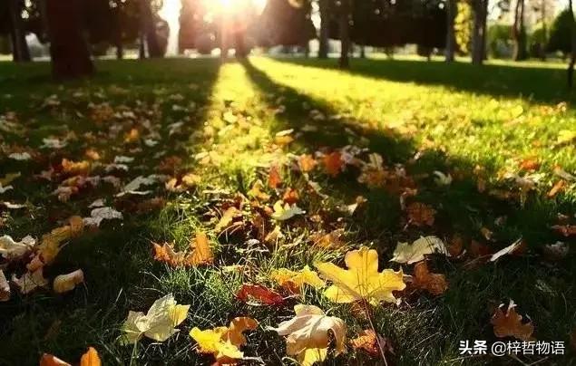 企业要想突破增长的极限,就要打破常规,突破理论的桎梏!