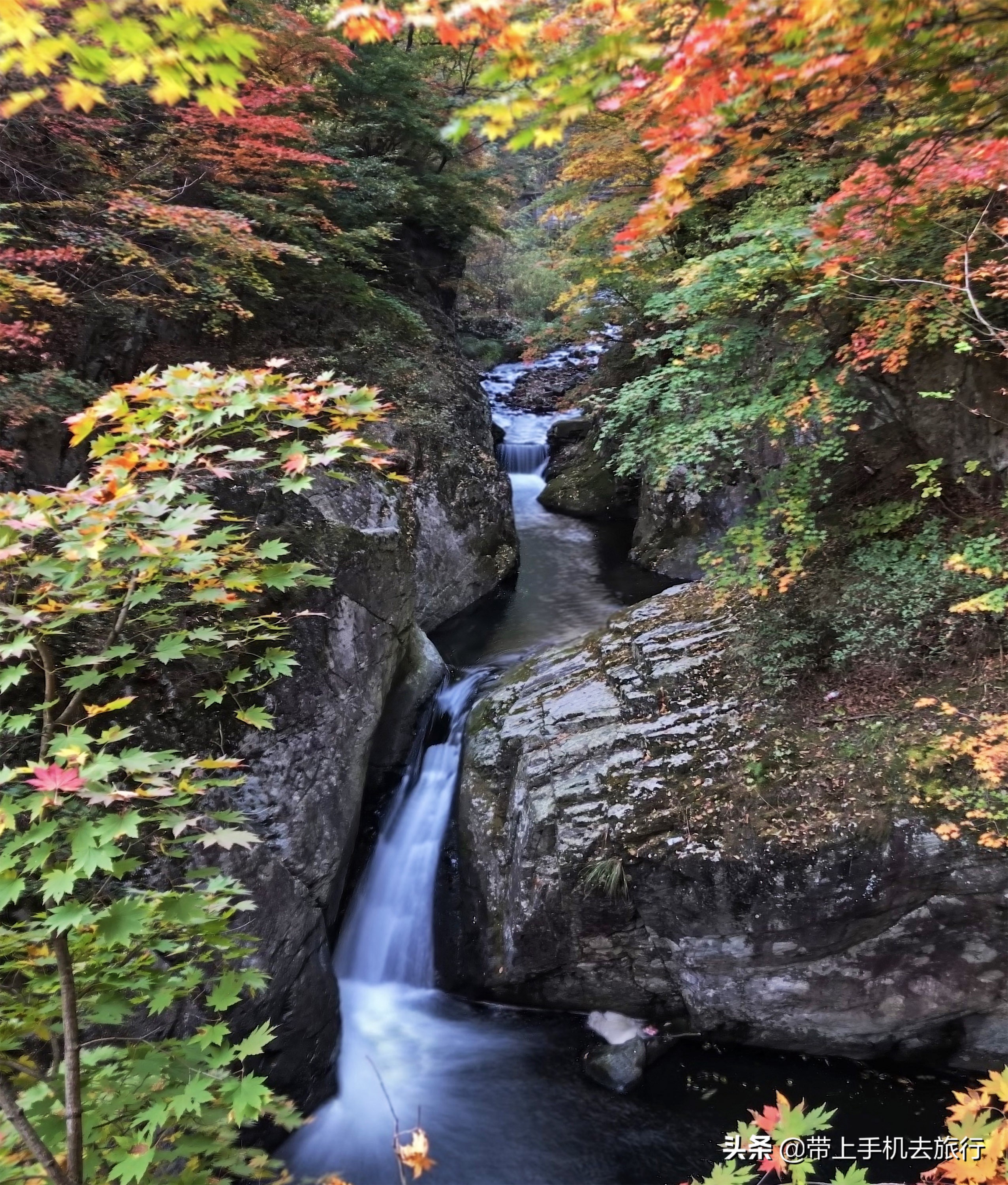 上热门小技巧手机摄影,手机摄影教程热门作品集