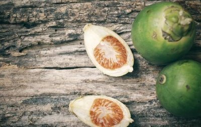 槟榔为什么对鼻炎有效果,槟榔放海盐有什么效果