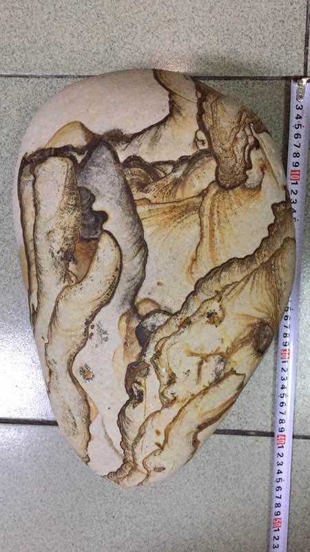 走进长江石---------芙蓉石