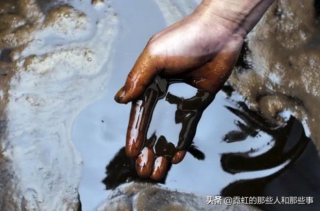 日本开发地沟油的历史,地沟油起源日本
