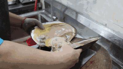 河蚌先生,河蚌先生啥意思