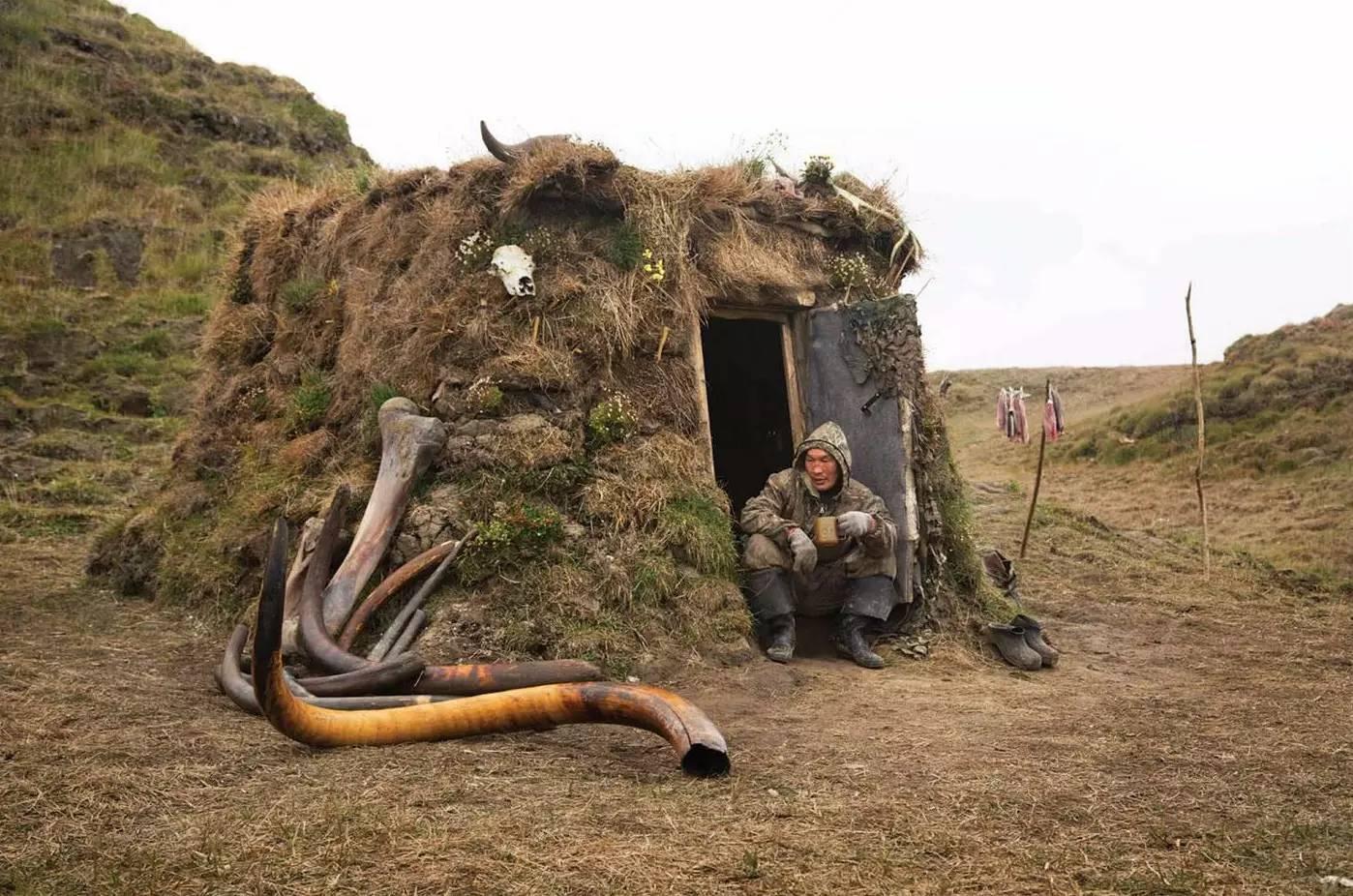 史前猛犸象灭绝真正原因,猛犸象是怎么灭绝的真正原因