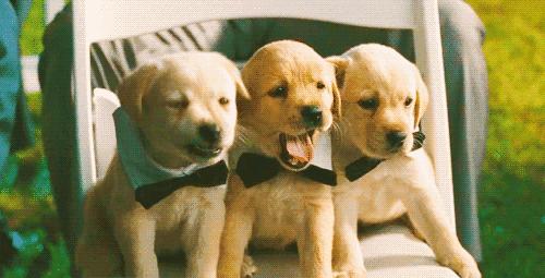 脚丫长脚气怎么治好的,脚丫上有脚气要怎么办