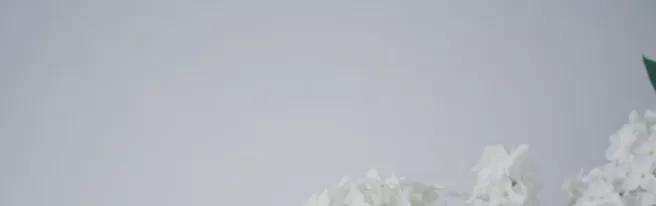 春分从穴位上如何养生,二十四节气养生之春分养生