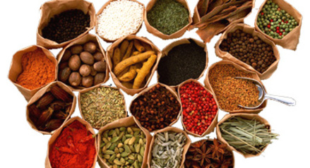 安国中药材新市场,安国药材新枝图片