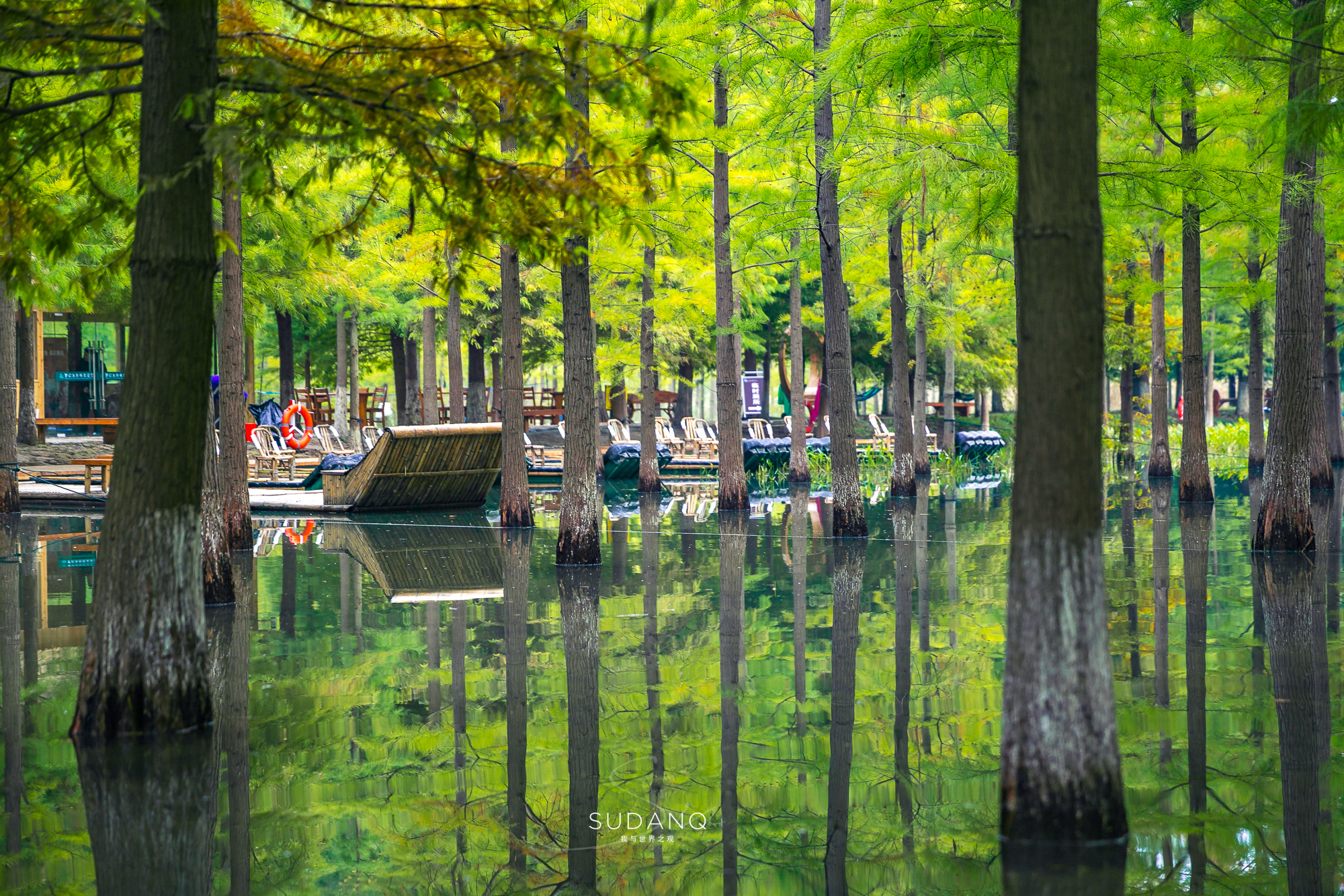 江苏泗洪的风景,江苏的苏南和苏北有什么区别