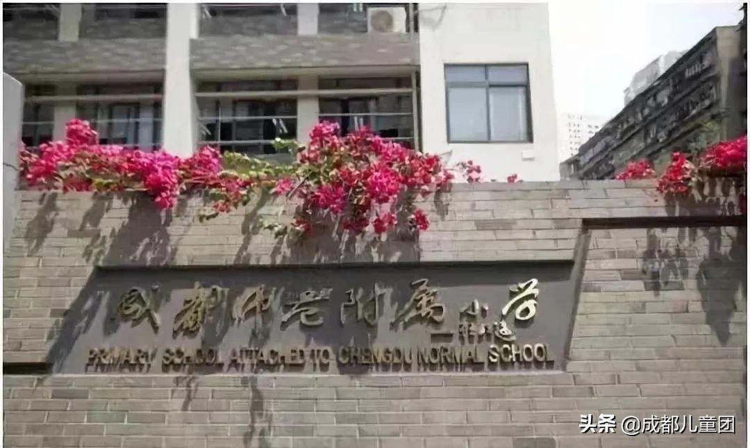 被称为五朵金花,成师附小华润分校算五朵金花吗