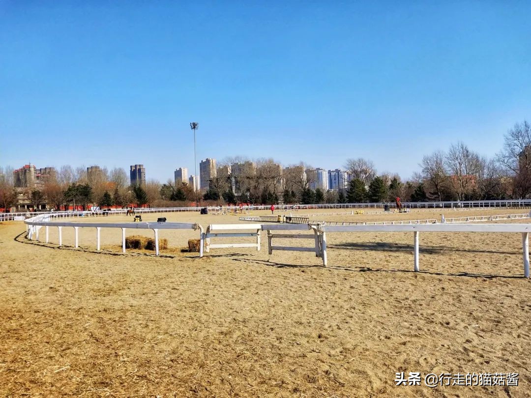 伪满皇宫博物院大气航拍,伪满皇宫各楼平面图