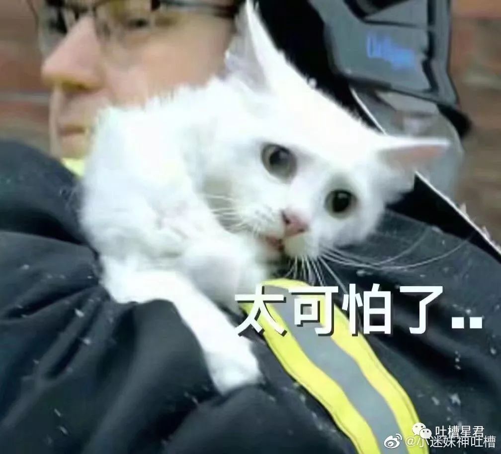 新注册微信测试男朋友被套路,新建个小号怎么试探男朋友