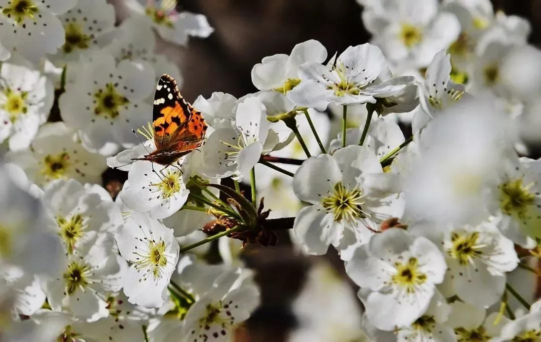 外地人眼中的丰县VS丰县人眼中的丰县