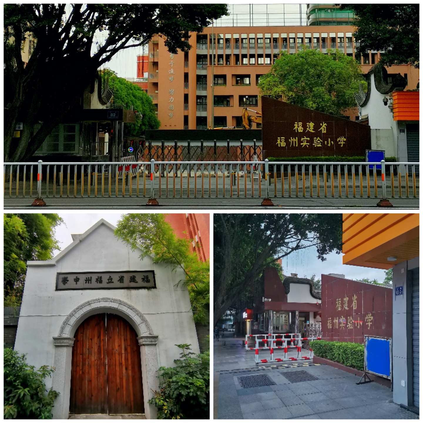 福建情结,福建人的家族情结