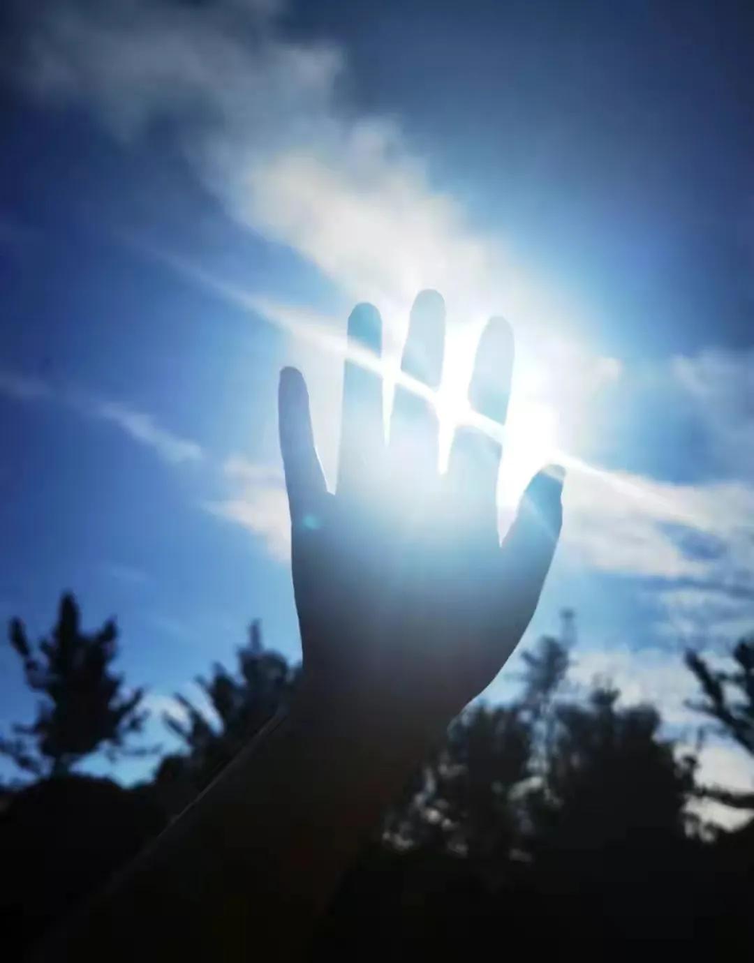 四年级我得到了什么的作文,四年级上册我得到了什么300字