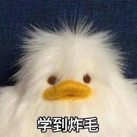 我在学习意大利语英文怎么说,自学意大利语50句