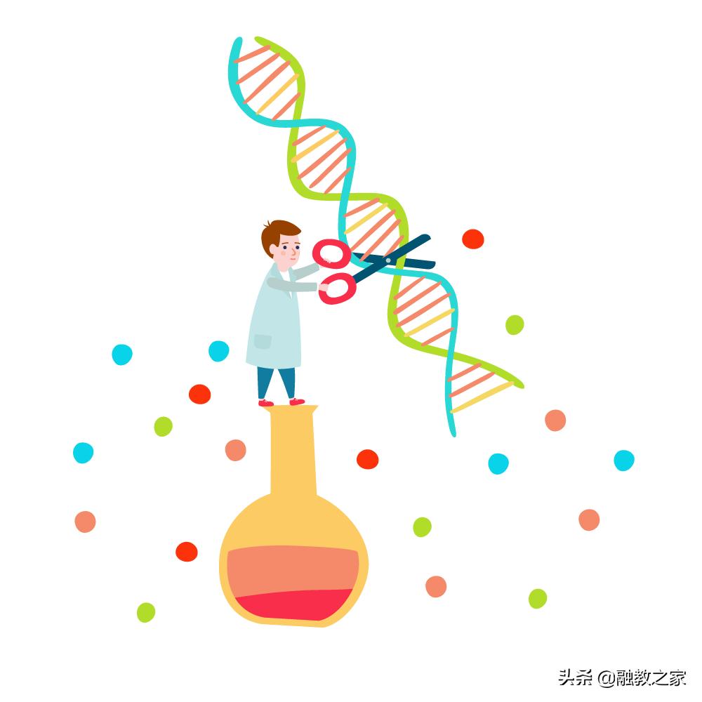 禁食、特效药、针灸、排毒、干细胞……这些可以“治愈”自闭症?