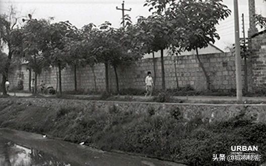 杭州文二路车祸最新消息,杭州文二路交通事故