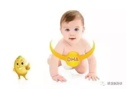 bioisland婴儿dha藻油0-1岁,宝宝海藻油dha哪个牌子好