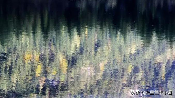 斯里兰卡重口味餐,斯里兰卡美食攻略大全