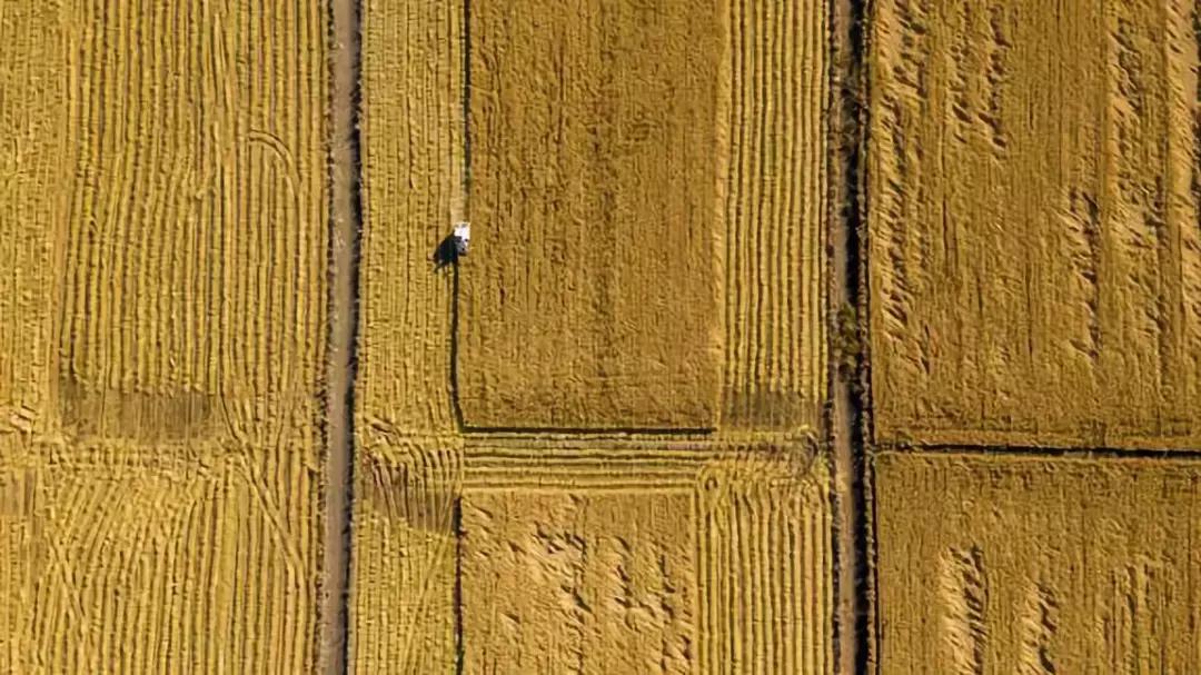 宝坻区乡村振兴实践,宝坻乡村振兴