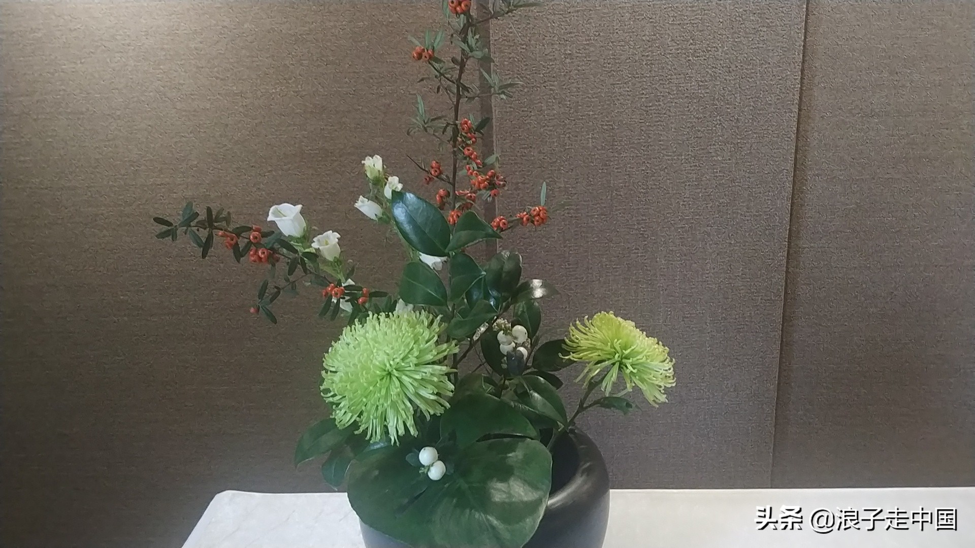 深圳的东湖公园的菊花展漂亮极了,深圳东湖公园赏菊花展