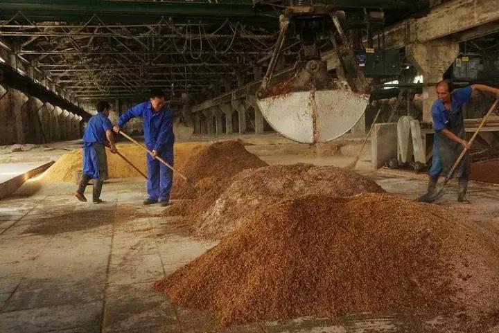 河南杜康酒业官网,豫酒振兴宝丰酒厂