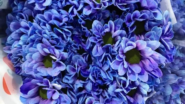 五种常见花材有什么颜色,常见绿色花材