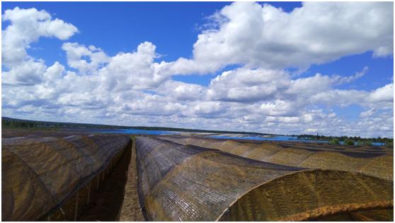 汇仁专注男性健康,汇仁药业极致品质从源头开始