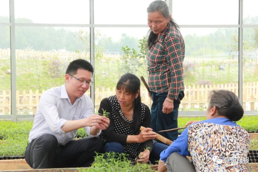 赣州市一批集体和个人获全省表彰,赣州举行表彰大会