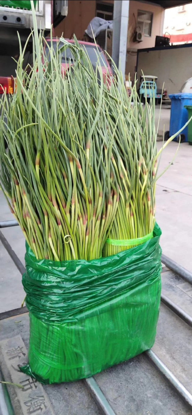 2020年山东蒜薹价格最低批发价,2020大蒜蒜薹行情