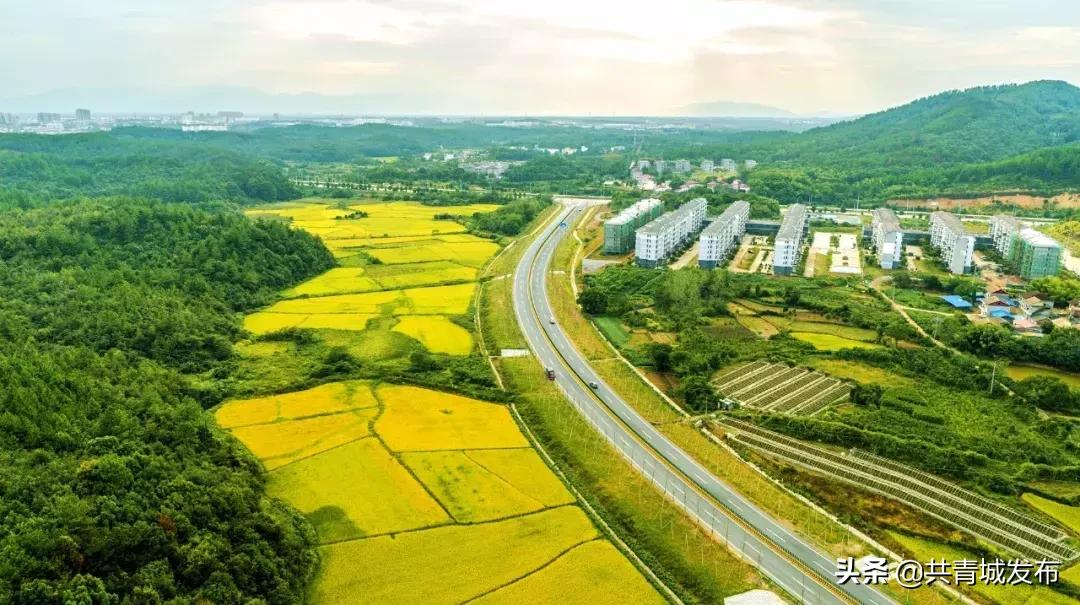 从a到z的成长,从a到z爱上茶的理由