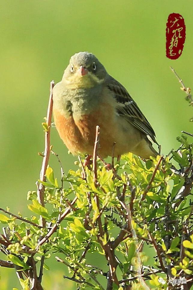 带娃的日子有滋有味,日子过得有滋有味广场舞