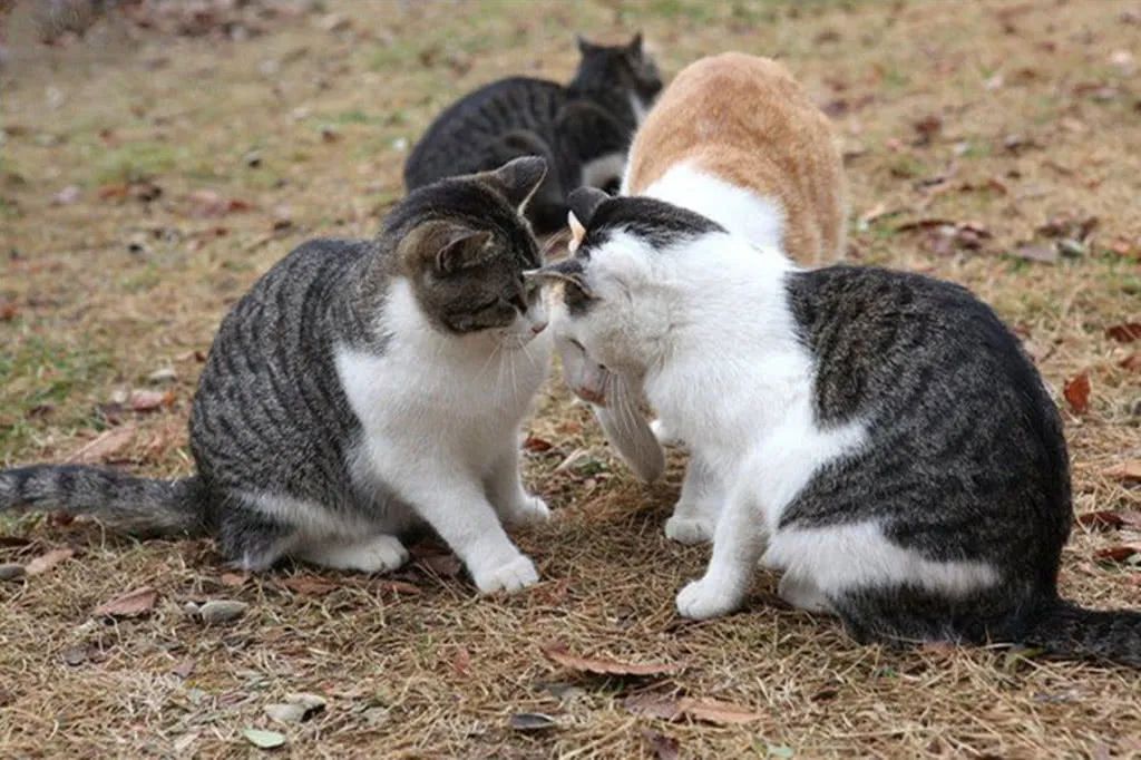 一招教你彻底祛斑,轻松祛斑先养肝