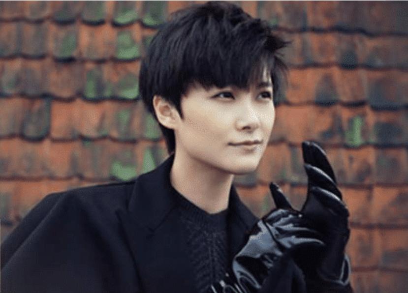 超女李宇春现状,李宇春一起成名的女歌手