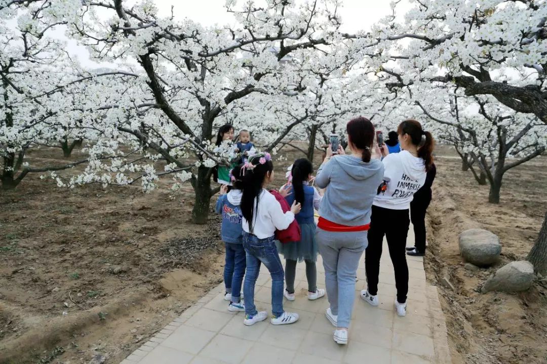 聊城什么东西最出名,聊城旅游最好玩又便宜的地方
