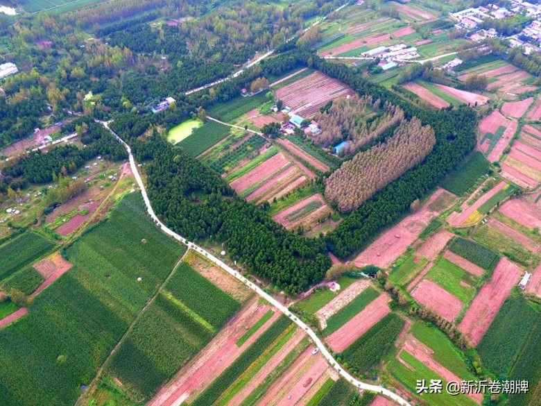 新沂唐店街道近期拆迁信息,新沂唐店村庄改造