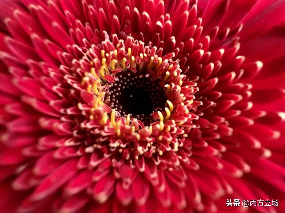 iphone13港版官方价格2022年,iphone13港版官方价格