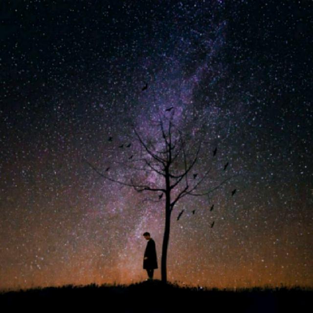 空巢青年越来越多,空巢青年人口