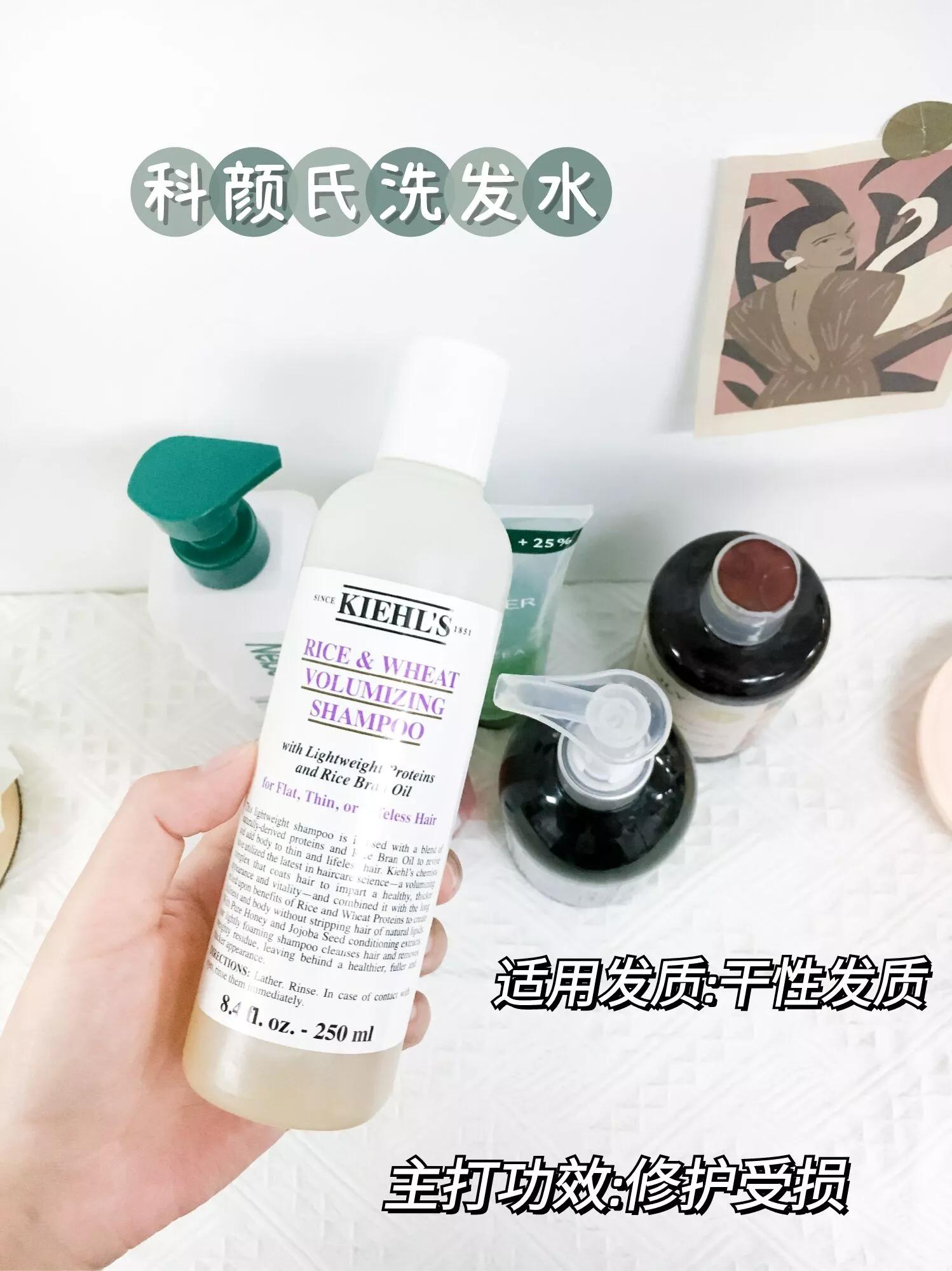 推荐夏天洗发水控油蓬松止痒,夏天去屑洗发水清凉控油