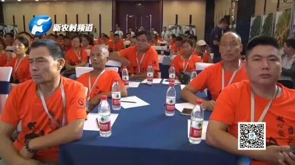 鸿翔集团年会,鸿翔年会