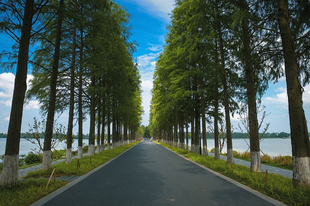 东西湖赶超主城区,东西湖头条新闻