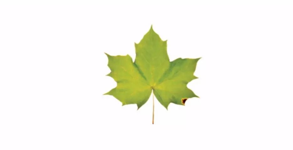 如何练习线条设计,设计线条教程