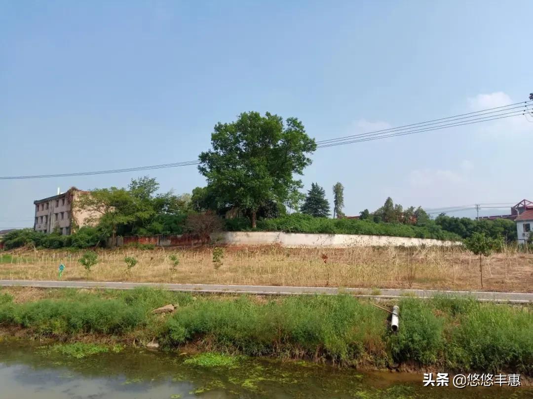 上虞新医院建设,上虞即将建的医院