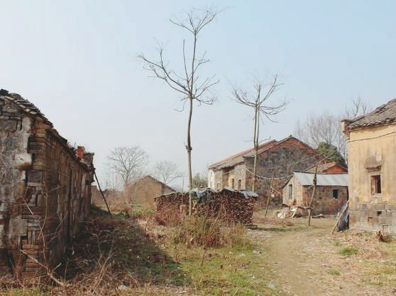 同一个家庭兄弟妯娌出现矛盾,农村亲兄弟打架