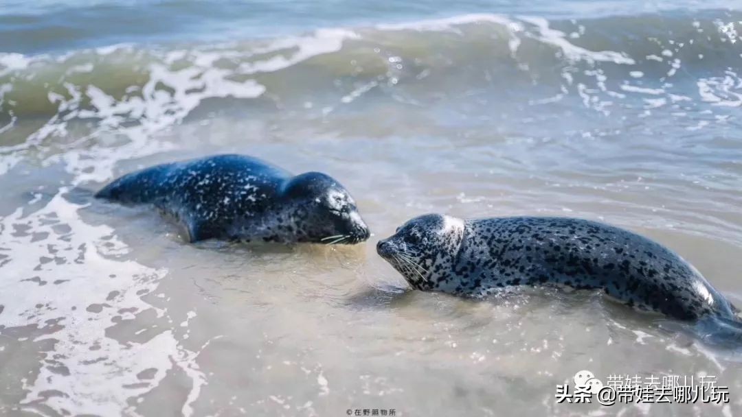 阿那亚民宿亲子游,阿那亚亲子游记2021