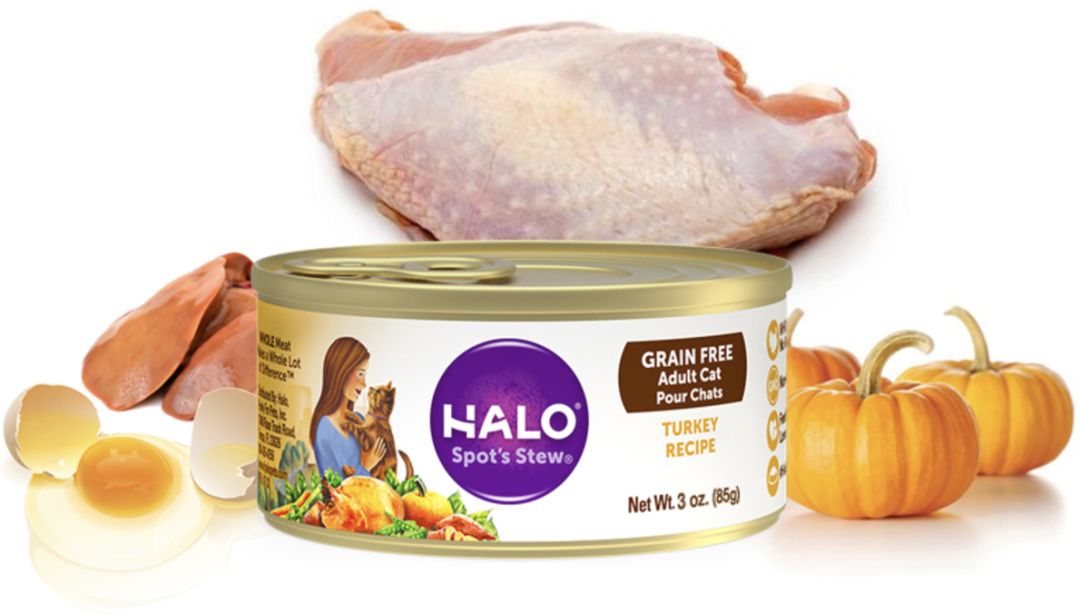 猫罐头推荐主食罐头,好的猫罐头和差的猫罐头区别