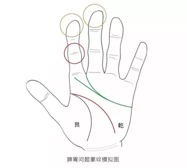 手相中怎么看学习好不好,手相怎么看有没有仙缘